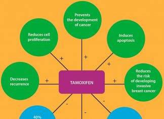 Tamoxifen blocks retrograde trafficking of Shiga toxin