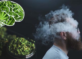 The psychological effects of marijuana can differ between individuals