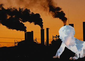 Pregnant women exposed to higher levels of air pollutants had children with lower IQs