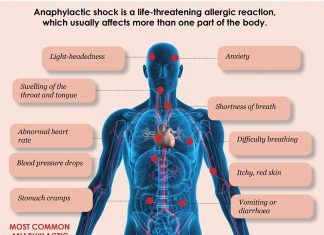 Researchers identified a new pathological mechanism responsible for anaphylactic shock