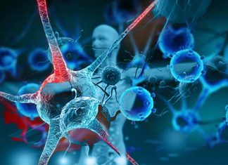 Researchers identified key differences between cancers that respond to immunotherapy and those that do not