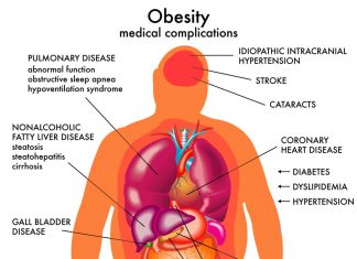 Researchers have connect an enzyme to obesity and fatty liver disease