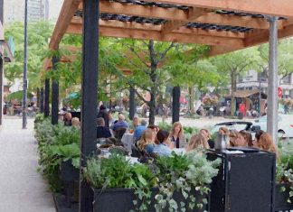 Seeing greenery is associated with reduced cravings for alcohol – cigarettes and harmful foods