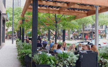 Seeing greenery is associated with reduced cravings for alcohol – cigarettes and harmful foods