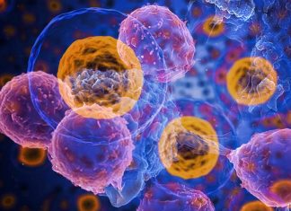 Researchers have discovered a way to improve immune-based treatment by modulating T-cells with thioredoxin
