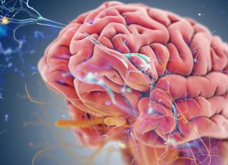 Researchers identified characteristic changes in the patterns of electrical brain wave activity in motor neurone disease (MND)