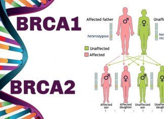 Cancer : An estimated 19 million people worldwide carry mutations in BRCA1 and BRAC2 genes