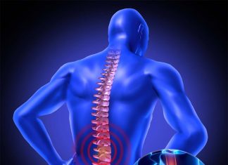 An injection of nanoparticles can potentially prevent some spinal cord injuries after an injury