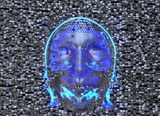 Nociceptin : a complex molecule that suppresses dopamine