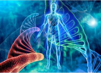 A new machine-learning method identifies regions of the human genome associated to autism