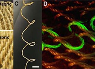 Researchers developed sheath-run artificial muscles (SRAMs) that react by sensing the environment around them