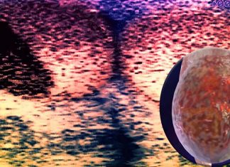 Researchers have discovered an autoimmune disease that appears to affect men with testicular cancer