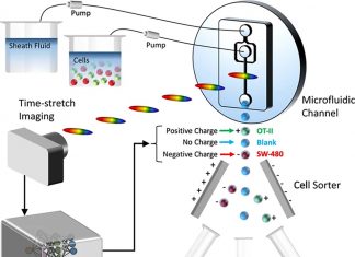 AI can identify cancer cells in blood in milliseconds