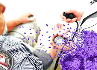Abnormal blood pressure in midlife persisting into late life increases the likelihood of developing dementia