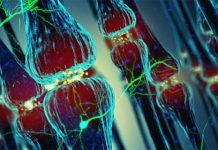 The APOE ε4 Allele: An Early Indicator of Alzheimer’s Disease through Olfactory Decline