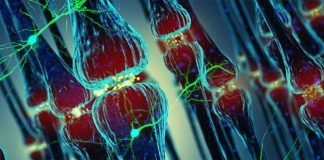 The APOE ε4 Allele: An Early Indicator of Alzheimer’s Disease through Olfactory Decline