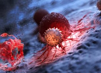 The Dox-CBD-SA treatment significantly suppress tumor growth