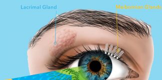 Dry eye disease (DED) is a common disease with shockingly few FDA-approved drug options