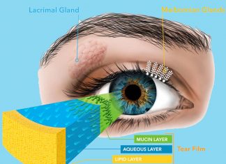 Dry eye disease (DED) is a common disease with shockingly few FDA-approved drug options