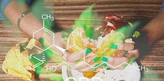 Eating a high-fat diet can help with the absorption of oral CBD for those with epilepsy
