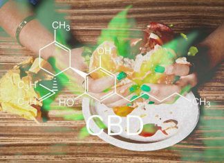 Eating a high-fat diet can help with the absorption of oral CBD for those with epilepsy