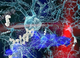 Far-infrared free-electron lasers may be a new way in which we fight the effects of Alzheimer’s disease