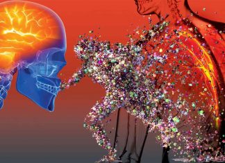 Inflammation caused by opioid use in the brain and gut exacerbate negative emotions