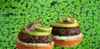 Mankai – superfood that provides glycemic control after carbohydrate consumption