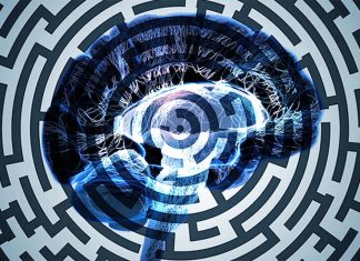 New insight into navigation and spatial learning