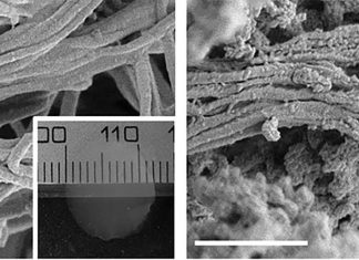 Researchers have engineered a material that replicates human bone tissue
