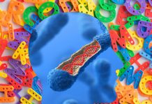 Six genes contribute to language development in children