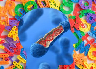 Six genes contribute to language development in children