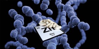 Researchers have uncovered a crucial link between dietary zinc intake and protection against Streptococcus pneumoniae