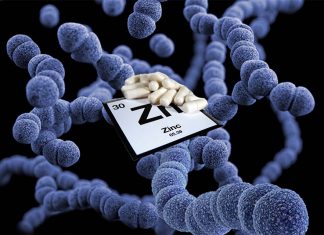 Researchers have uncovered a crucial link between dietary zinc intake and protection against Streptococcus pneumoniae