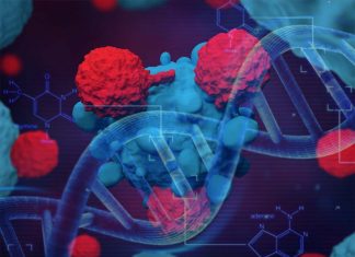 T cell immunotherapy uses the body’s own T cells but reprograms them to target cancer cells