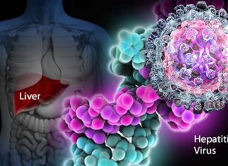A new study demonstrates that antiviral drugs for hepatitis C reduce liver-related deaths by nearly 50%
