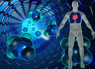 Researchers use carbon nanotubes to bridge damaged heart tissues and deliver the electrical signals needed to keep those hearts beating