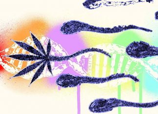 A specific gene associated with autism appears to undergo changes in the sperm of men who use marijuana