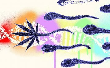 A specific gene associated with autism appears to undergo changes in the sperm of men who use marijuana