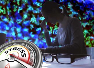 Researchers discovered that chronic stress causes autophagic death of adult hippocampal neural stem cells (NSCs)