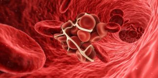 Researchers have discovered how do clots become firm in the presence of blood flow