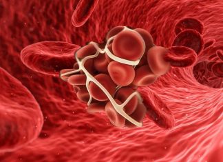 Researchers have discovered how do clots become firm in the presence of blood flow