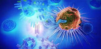 Researchers has found that duoCAR-T cells they created are effective against HIV