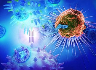 Researchers has found that duoCAR-T cells they created are effective against HIV