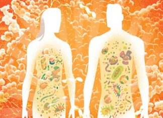 Researchers have found the molecular signature of a healthy gut microbial community that keeps C. difficile in check