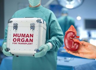 Patients who die waiting for a kidney have had multiple opportunities to receive a transplant but the offered organs were declined by their transplant team