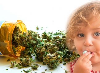 After medical marijuana became legal in Massachusetts – cannabis-related poison doubled