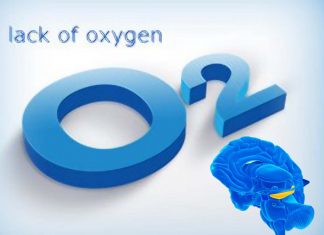 A lack of oxygen in preterm birth impair hippocampal development