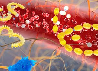 Prescription omega-3 fatty acid medication reduces triglyceride levels by 20-30%