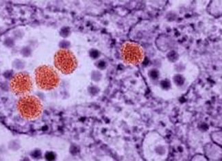 New drug could complement the current HIV anti-retroviral therapy (ART) medications and lead to remission